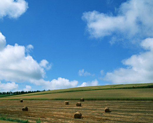 42278 (a): :1280x1024